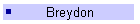Breydon