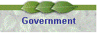 Government